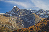 Brec de Chambeyron, 13389 m, Ubaye Valley, Alps, France