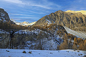 Vallon du Bachelard, Vallée de l'Ubaye, de gauche à droite : Barre de la Petite Cayolle, Mont Pelat (3051m), Barre de la Grande Cayolle, Crête de la Pierre Eclatée, Alpes, France