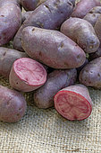 Potatoes 'Rouge de Cornouaille'