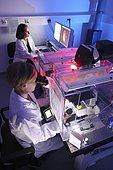 Biotechnology, fluorescence microscope, a special version of a light microscope that can visualise fluorescent labelled molecules within a cell, Centre for Medical Biotechnology of the University Duisburg-Essen, North Rhine-Westfalia, Germany, Europe