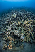 Cyclone Chido damage to coral in Mayotte (December 2024)