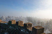 Vosges du Nord forest frosted at the top of the Wintersberg tower, Niederbronn-les-Bains, Vosges du Nord Regional Nature Park, France