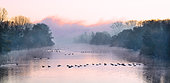 Early morning in the Sauer Delta, Sauer Delta Nature Reserve, Munchhausen, Alsace, France