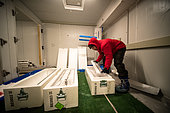 Two scientists cut and pack ice cores. Here, half a core is carefully placed in an insulated box. Concordia Antarctic Research Station, Dome C plateau, East Antarctica.
