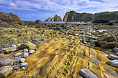 The famous Playa del Silencio on Spain's Asturias coast. Low tide reveals the remarkable polychrome strata of quartzite, sandstone and shale, deformed by tectonics and dating from the Paleozoic (Cambrian/Ordovician) - Asturias - Spain