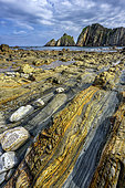 The famous Playa del Silencio on Spain's Asturias coast. Low tide reveals the remarkable polychrome strata of quartzite, sandstone and shale, deformed by tectonics and dating from the Paleozoic (Cambrian/Ordovician) - Asturias - Spain