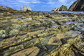 The famous Playa del Silencio on Spain's Asturias coast. Low tide reveals the remarkable polychrome strata of quartzite, sandstone and shale, deformed by tectonics and dating from the Paleozoic (Cambrian/Ordovician) - Asturias - Spain