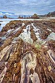 Playa de Gueirua on the Asturias coast in Spain. Low tide reveals the remarkable polychrome strata of quartzite, sandstone and shale, deformed by tectonics and dating from the Paleozoic (Cambrian/Ordovician) - Asturias - Spain
