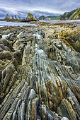 Playa de Gueirua on the Asturias coast in Spain. Low tide reveals the remarkable polychrome strata of quartzite, sandstone and shale, deformed by tectonics and dating from the Paleozoic (Cambrian/Ordovician) - Asturias - Spain