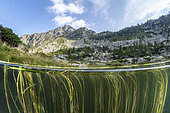 Split image inside Lake di Starlaresc da Sgiof, facing the mountains, upper Verzasca valley, Ticino, Switzerland, Europe