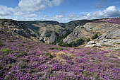 View of the Espinouse mountains in the Massif du Caroux et de l'Espinouse, Hérault, France