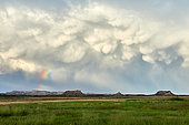 Natural Park and Biosphere Reserve. Bardenas Reales de Navarra