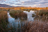 Prao de la Paul Lagoon in Laguardia, Alava, Pais Vasco, Spain