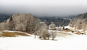 Route de Joux-Plane in winter, Samoëns, Haute-Savoie, France