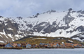 Leith Harbour Whaling Station. Antarctica, Subantarctica,South Georgia, Stromness Bay, spring