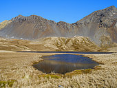 Landscape in Godthul. Antarctica, Subantarctica, South Georgia spring