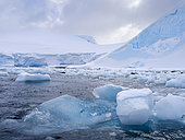 The coast of Brabant Island at Chiriguano Bay in the Palmer Archipelago during spring. Antarctica, Antarctic Peninsula, Palmer Archipelago