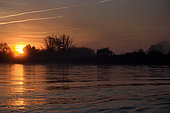 Fishing, hauling in nets at daybreak, boat, Doubs river, upstream from Dole, Jura, France