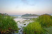 Bau Sau lake, Cat Tien national park, Vietnam