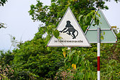 Sign crossing of primates, Son Tra Nature Reserve, Vietnam
