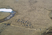Gates of the arctic National Park. near Anaktuvuk pass: polygons created by the "cryoturbation" phenomenon; arctic polygonic soils on flat ground, alignments on sloping ground (see near Nome); and cryogenic mounds, Alasaka, USA