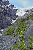 Glacier Exit, Kenai Fjords National Park, Alaska, USA
