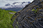 Glacier Exit, Kenai Fjords National Park, Alaska, USA