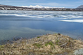 Summit lake, along the Richardson Highway, Alaska, USA