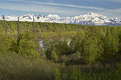 South face of Mount Denali, Denali National Park, Alaska, USA