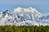 Mount Hunter/Begguya (1,4523 ft), South Face of Mount Denali/McKinley (6,190 m), Denali National Park, Alaska, USA