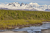 South face of Mount Denali / McKinley (6,190 m) and the Chulitna River, Denali National Park, Alaska, USA