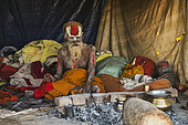 Kumbh Mela 2025: The Sacred Goes Viral. The Naga Sadhus: Guardians of the Kumbh Mela. At the Maha Kumbh Mela, the Naga Sadhus stand as powerful symbols of asceticism and strength. With their distinctive appearance, clad in nothing but ash, with dreadlocked hair and intense spiritual focus, they greet pilgrims with both grace and authority. As the faithful approach, offering their donations, the Naga Sadhus accept them not for material gain but as a reminder of the sacred cycle of giving. These ascetics, who have renounced all worldly attachments, embody the spirit of selflessness and spiritual devotion, welcoming the pilgrims in their journey to purification and enlightenment.