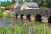 Asnières-sur-Vègre, petite cité de caractère, plus beau village de la région Maine, village médiéval, vieilles maisons du XV et XVI, son vieux pont classé Monument Historique sur la rivière Vègre, Sarthe, France