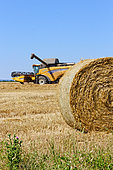 Combine harvester and straw bale. Combine harvester harvesting wheat and a round bale of straw, Sarthe, France