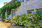 La Pierrière, the pearl of the Perche. Norman village in the heart of the Perche region. One of the most beautiful villages in France, built on a spur, a small town full of character and rich in heritage, close to the Bellême forest, Orne, Normandy, France.