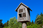 Insect hotel, Sarthe, France