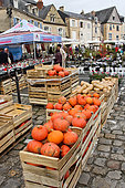 Potimarron sale in the Plantagenet town, Le Vieux Mans, Sarthe, France