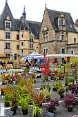 Vente plantes et fleurs Le Mans. Vente plantes Phormim et Loropetalum et des fleurs dans la cite Plantagenet au loin l eveche Le Vieux-Mans Le Mans Sarthe France 12 Octobre 2024