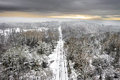 Boulogne sur mer forest in winter, Côte d'Opale, Pas-de-Calais, France