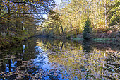 River in autumn, Moselle, France