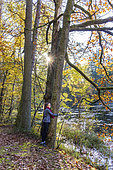 Young girl practicing sylvotherapy in a forest in autumn, Moselle, France
