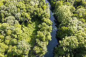 The Sorgue river and its riparian zone, Vaucluse, Provence, France