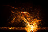 Dance. Grey heron dancing in the water. Hungary.