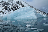 Iceberg in front of the coast, Spitsbergen, Svalbard Archipelago