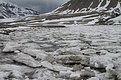 Melting sea ice in June in Spitzbergen, Svalbard Archipelago