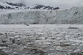 Melting sea ice in June in Spitzbergen, Svalbard Archipelago