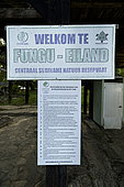 Funguisland, Central Suriname Nature Park, Suriname
