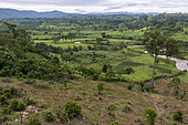 Rural scene near Bwindi Impenetrable Forest. Uganda