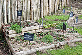 Vegetable garden in winter, Arche de la Nature, Le Mans, Sarthe, France