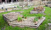Vegetable garden in winter, Arche de la Nature, Le Mans, Sarthe, France